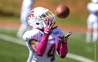 The 2014 Morehouse Game